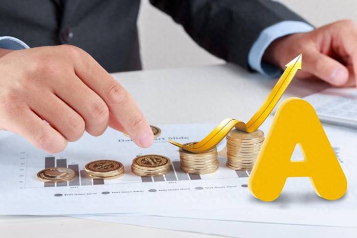 Influx of New Capital: Japan Plans to Raise Interest Rates