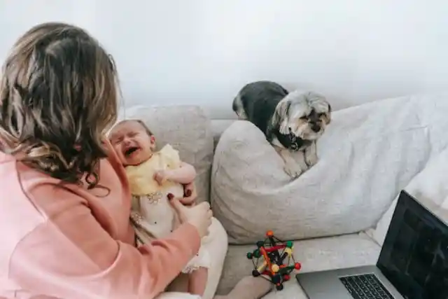 Husband Leaves Wife And 3-Month-Old Baby Due To Indicent With Dog Husband Leaves Wife And 3-Month-Old Baby Due To Indicent With Dog