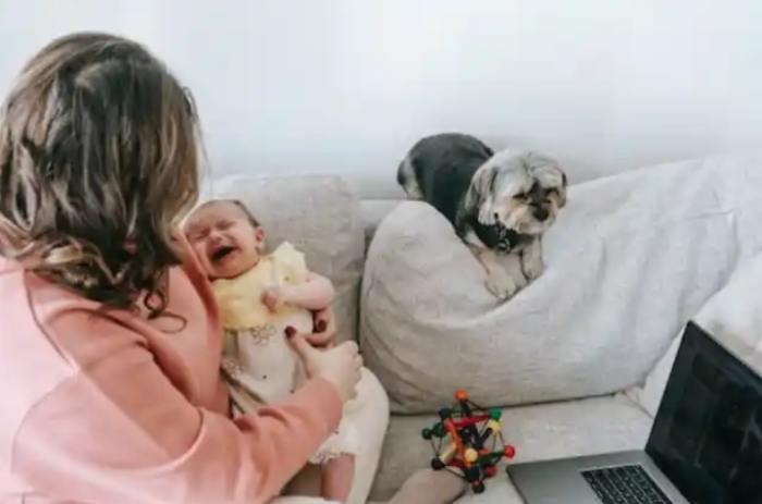 Husband Leaves Wife And 3-Month-Old Baby Due To Indicent With Dog-13