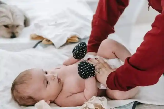 Husband Leaves Wife And 3-Month-Old Baby Due To Indicent With Dog Husband Leaves Wife And 3-Month-Old Baby Due To Indicent With Dog