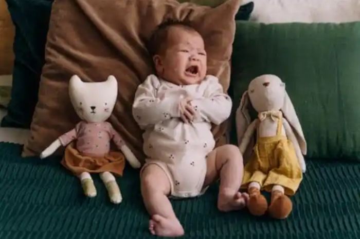 Husband Leaves Wife And 3-Month-Old Baby Due To Indicent With Dog-6