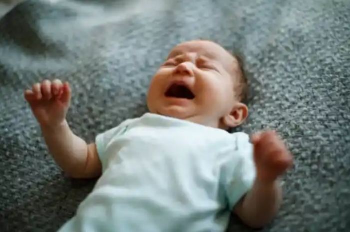 Husband Leaves Wife And 3-Month-Old Baby Due To Indicent With Dog