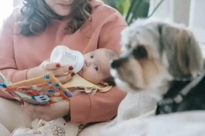 Husband Leaves Wife And 3-Month-Old Baby Due To Indicent With Dog