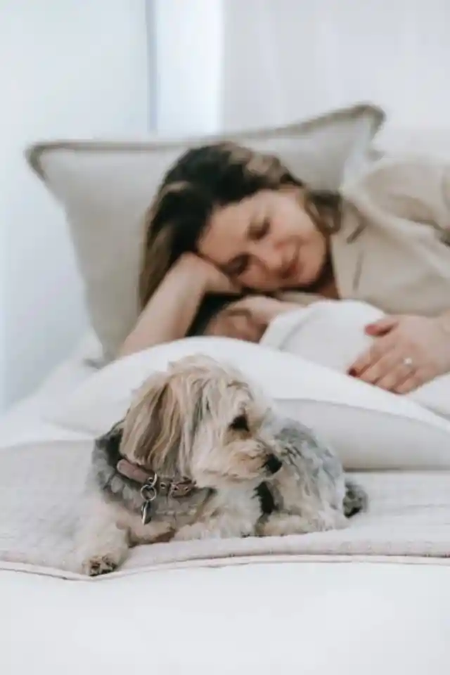 Husband Leaves Wife And 3-Month-Old Baby Due To Indicent With Dog Husband Leaves Wife And 3-Month-Old Baby Due To Indicent With Dog