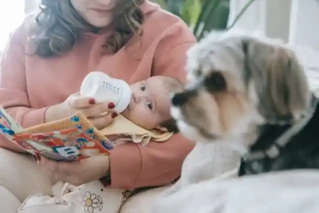 Husband Leaves Wife And 3-Month-Old Baby Due To Indicent With Dog Husband Leaves Wife And 3-Month-Old Baby Due To Indicent With Dog