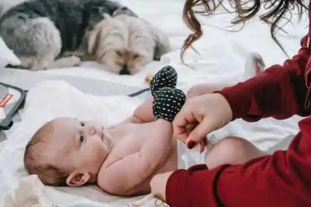 Husband Leaves Wife And 3-Month-Old Baby Due To Indicent With Dog Husband Leaves Wife And 3-Month-Old Baby Due To Indicent With Dog
