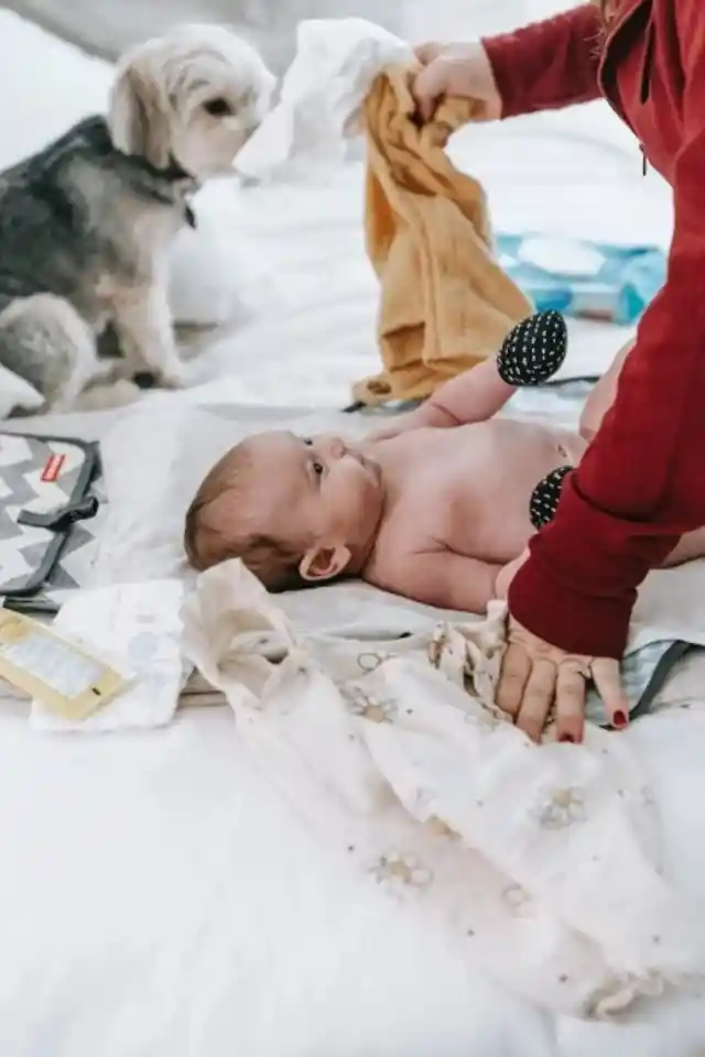 Husband Leaves Wife And 3-Month-Old Baby Due To Indicent With Dog Husband Leaves Wife And 3-Month-Old Baby Due To Indicent With Dog