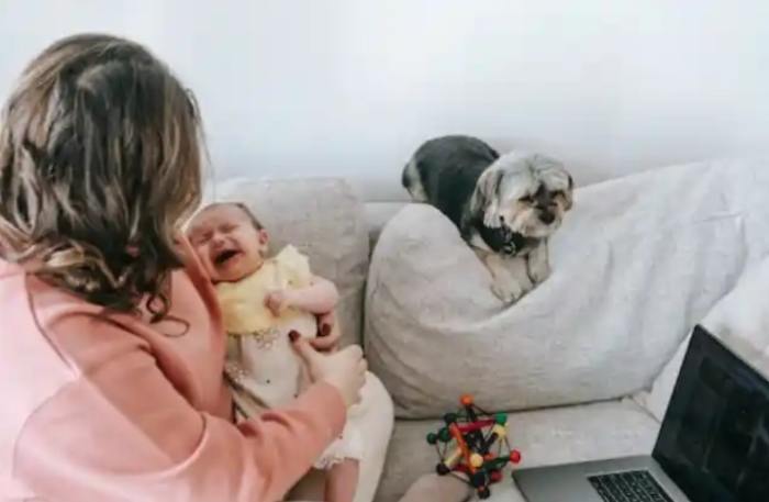 Husband Leaves Wife And 3-Month-Old Baby Due To Indicent With Dog-17