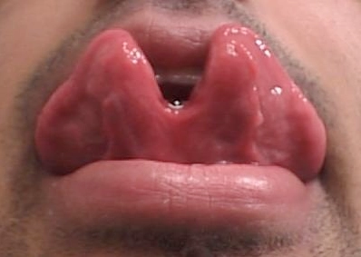 Forbidden Modifications: Top 10 Procedures You Won't Believe Are Real.